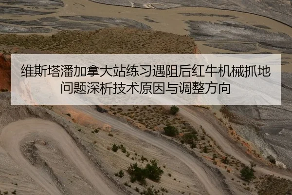维斯塔潘加拿大站练习遇阻后红牛机械抓地问题深析技术原因与调整方向