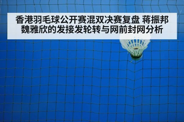 badminton net shot