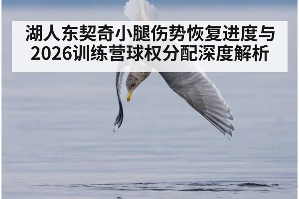 湖人东契奇小腿伤势恢复进度与2026训练营球权分配深度解析